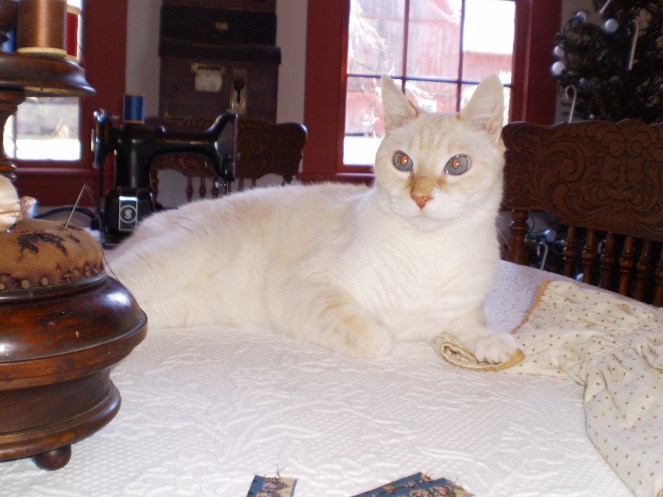 I am really going to miss this cat.  We had him for 15 and a half years and had to hand feed him when he was a 5 week old kitten.  It's day like today that make me so thankful that I can retreat to my studio and loose myself in my doll making... 