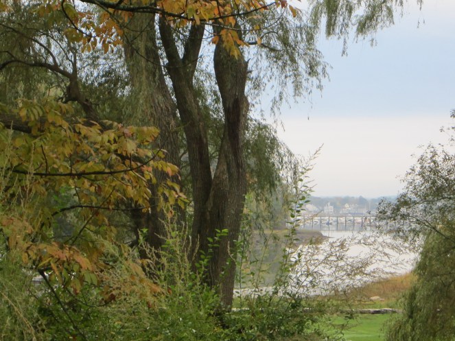 Cape Ann www.izannahwalker.com