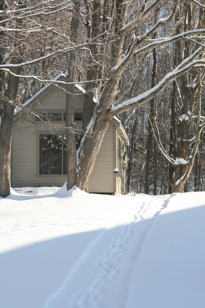 studio www.izannahwalker.com