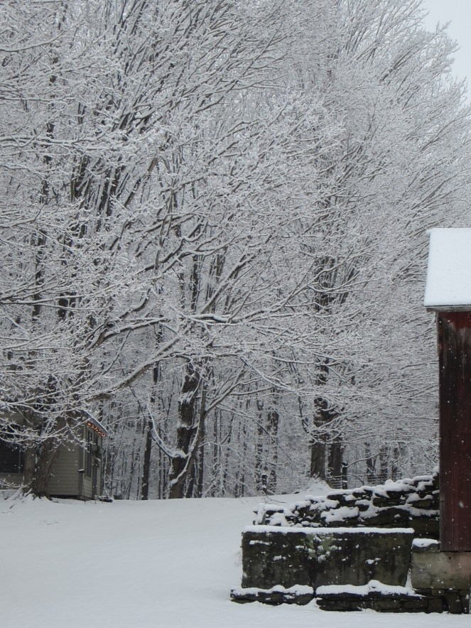 winter studio www.izannahwalker.com