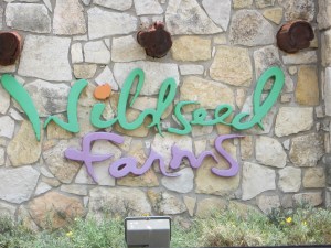 Our first stop after leaving the convention was Wildseed Farms to look at the gardens and buy wild flower seeds.  I've been buy from them for almost 30 years, so it was fun to see where all the seeds have been coming from.