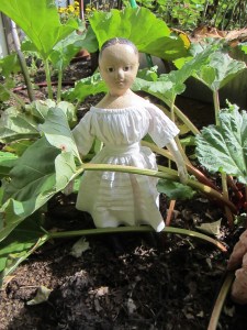 "Does this look like a good stalk?"