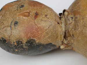 The main thing I had to do to this doll was to keep her very fragile neck from coming completely apart and make sure her head stays attached.