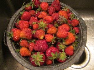 strawberries and Jane Austen www.izannahwalker.com