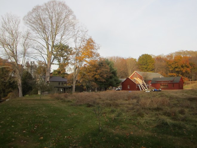 The new painting studio and the new garage are up! Now imagine a garden with brick paths, flowers in raised beds, a white picket fence and espaliered apple trees along the back wall of the garage. 