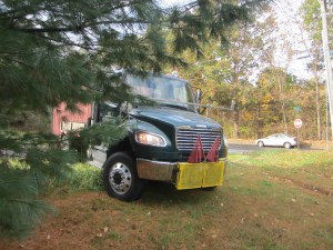 Snaking the truck in between the quince trees.