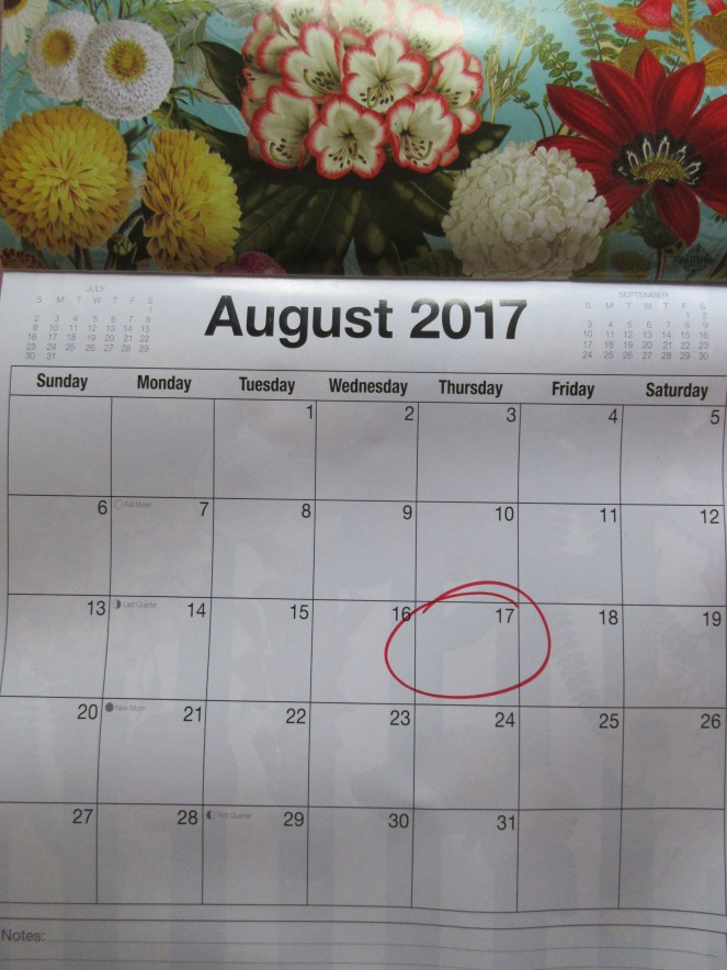 Third Thursday August 17, 2017