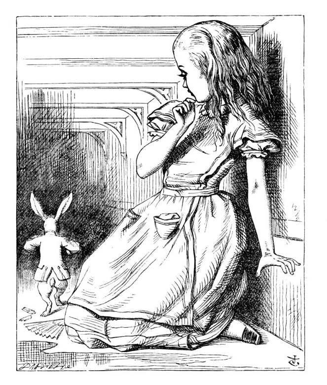 alice white rabbit