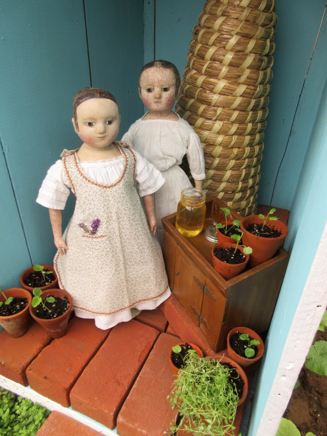 here is the lavender